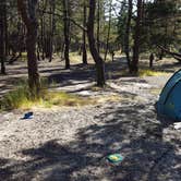 Review photo of South Beach State Park Campground by Melissa N., July 7, 2017