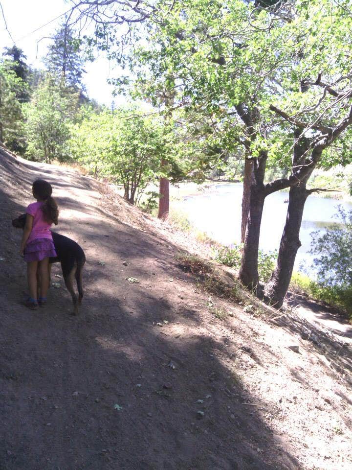 Camper-submitted photo at Peavine Campground — Angeles National Forest near Phelan, CA