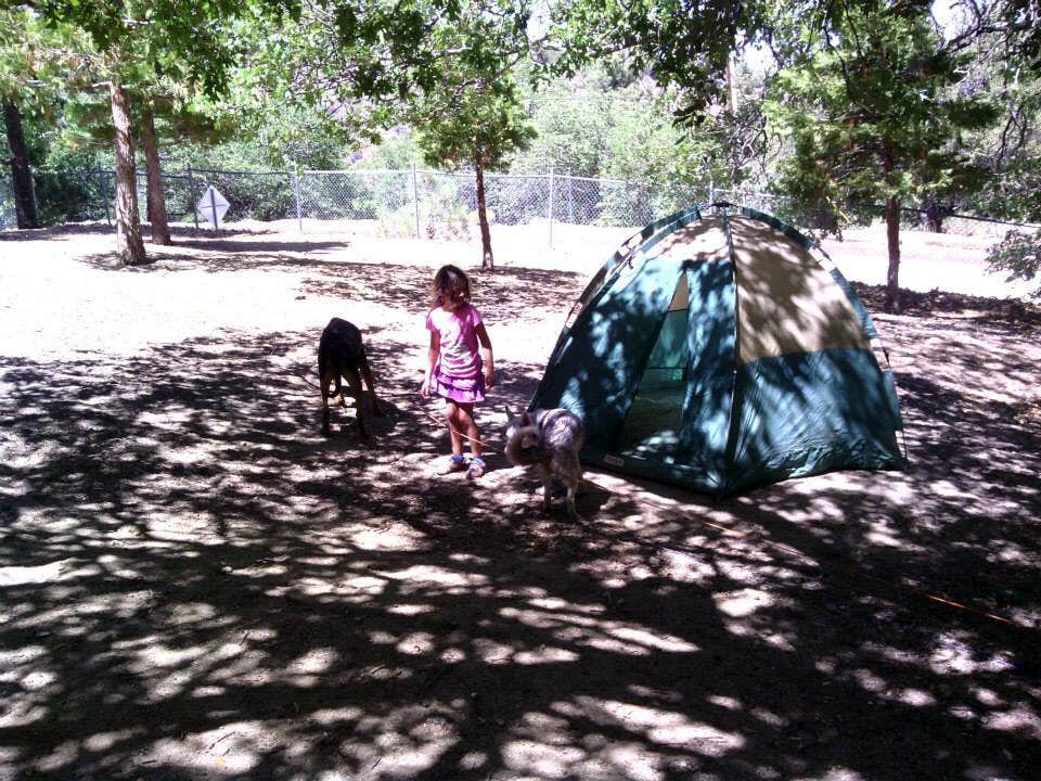 Lea O.'s photo at Peavine Campground — Angeles National Forest near Mount Baldy, CA