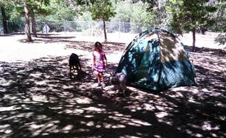 Lea O.'s photo at Peavine Campground — Angeles National Forest near Phelan, CA