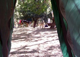 Peavine Campground