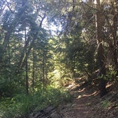 Review photo of Palomar Mountain State Park Campground by Lea O., July 7, 2017