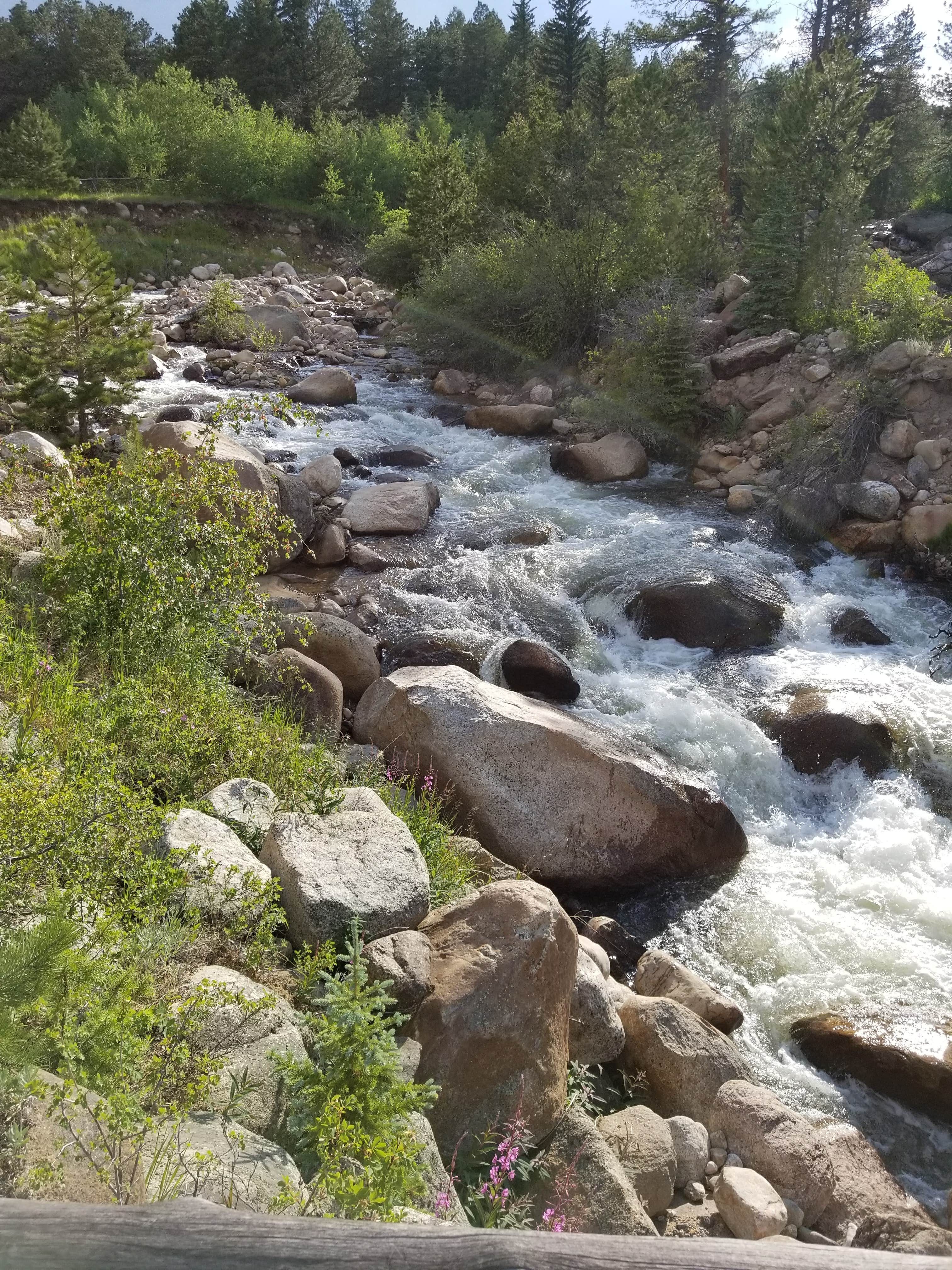Camper submitted image from Aspenglen Campground — Rocky Mountain National Park - 5