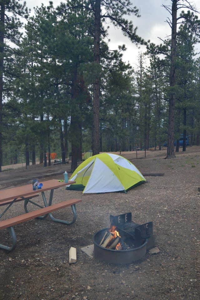 Camper submitted image from North Campground — Bryce Canyon National Park - 2