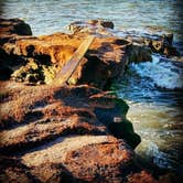 Review photo of Little Talbot Island State Park Campground by noah R., July 7, 2017