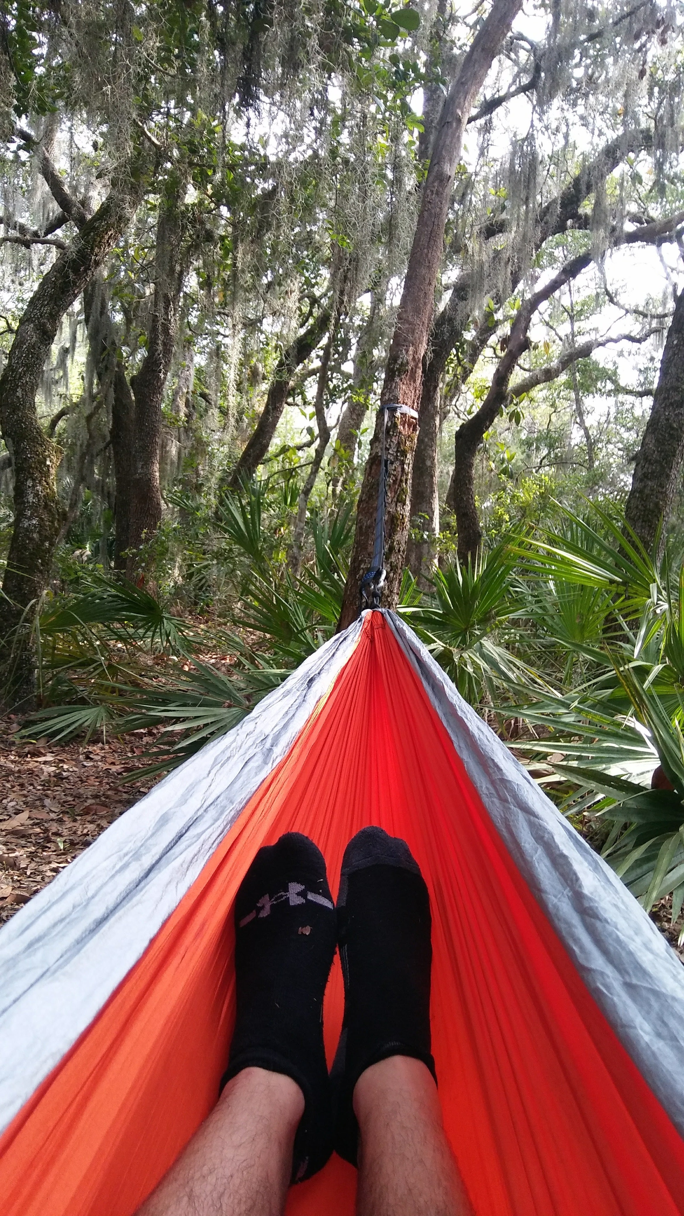 Camper submitted image from Little Talbot Island State Park Campground - 5