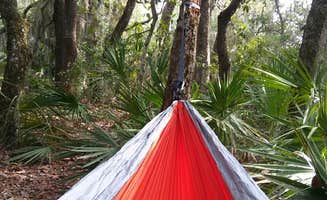 noah R.'s photo at Little Talbot Island State Park Campground near Ponte Vedra Beach, FL
