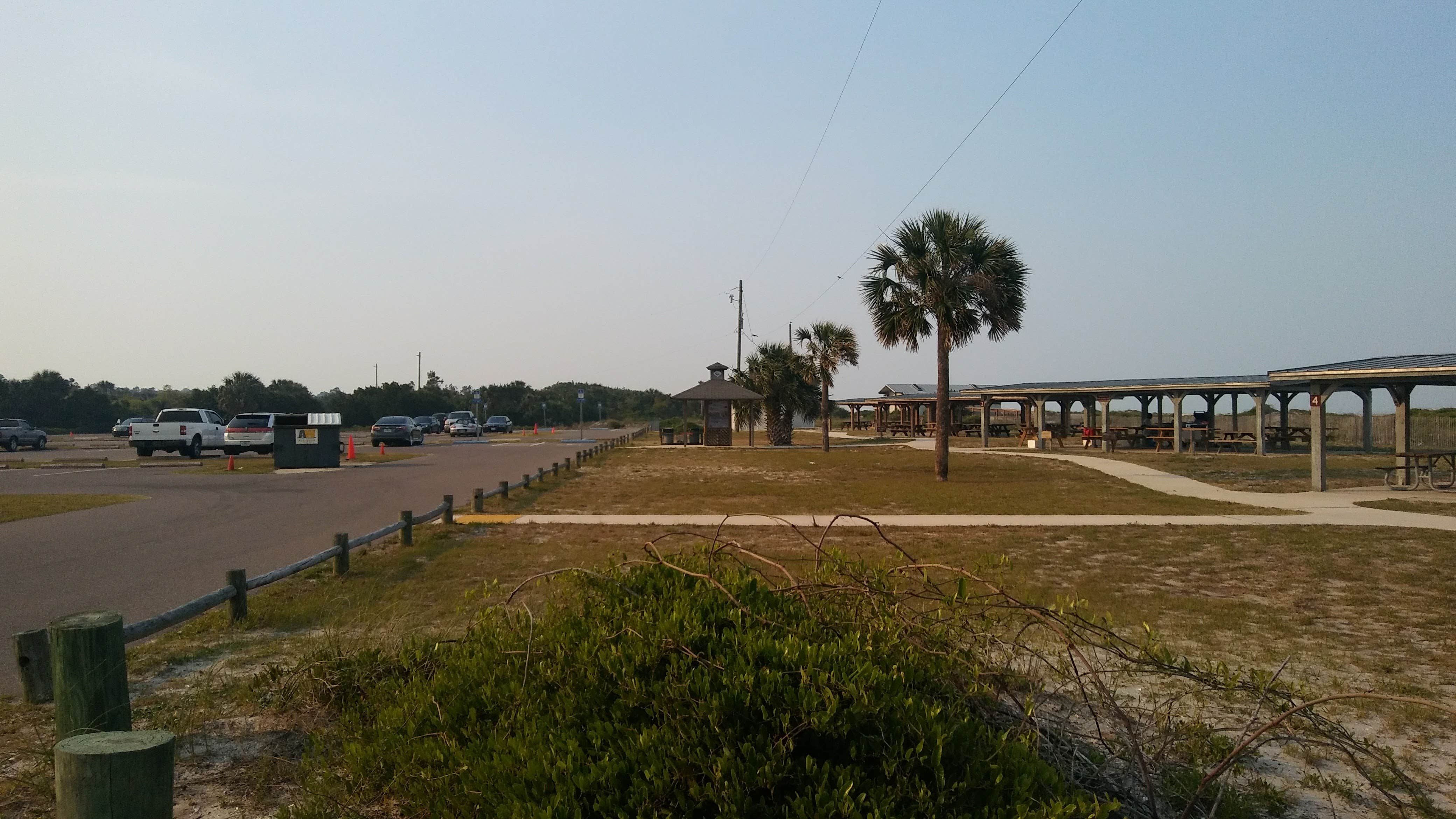 Camper submitted image from Little Talbot Island State Park Campground - 3