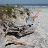 Review photo of Little Talbot Island State Park Campground by noah R., July 7, 2017