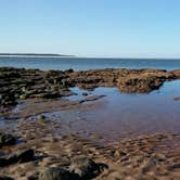 Review photo of Little Talbot Island State Park Campground by noah R., July 7, 2017