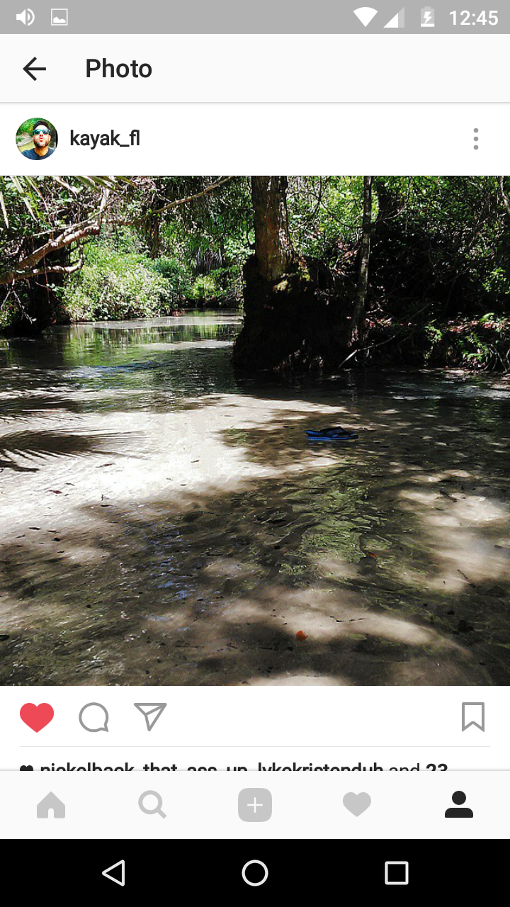 Camper submitted image from Juniper Springs Rec Area - Tropical Camp Area - 2