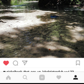 Review photo of Juniper Springs Rec Area - Tropical Camp Area by noah R., July 8, 2017