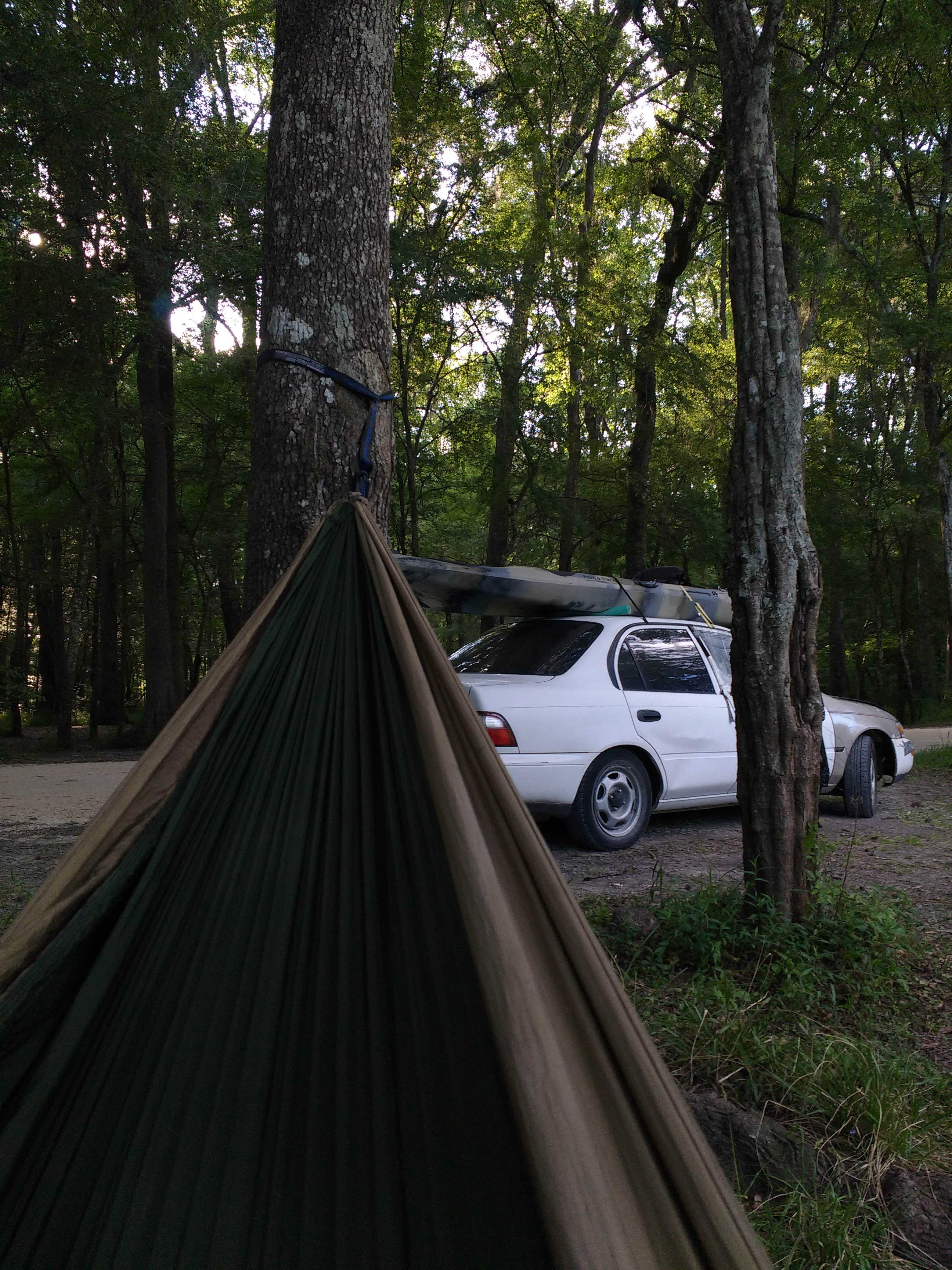 noah R.'s photo at Juniper Springs Rec Area - Tropical Camp Area near Salt Springs, FL