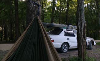 noah R.'s photo at Juniper Springs Campground near Ocala National Forest