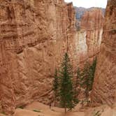 Review photo of North Campground — Bryce Canyon National Park by Dan G., June 24, 2016