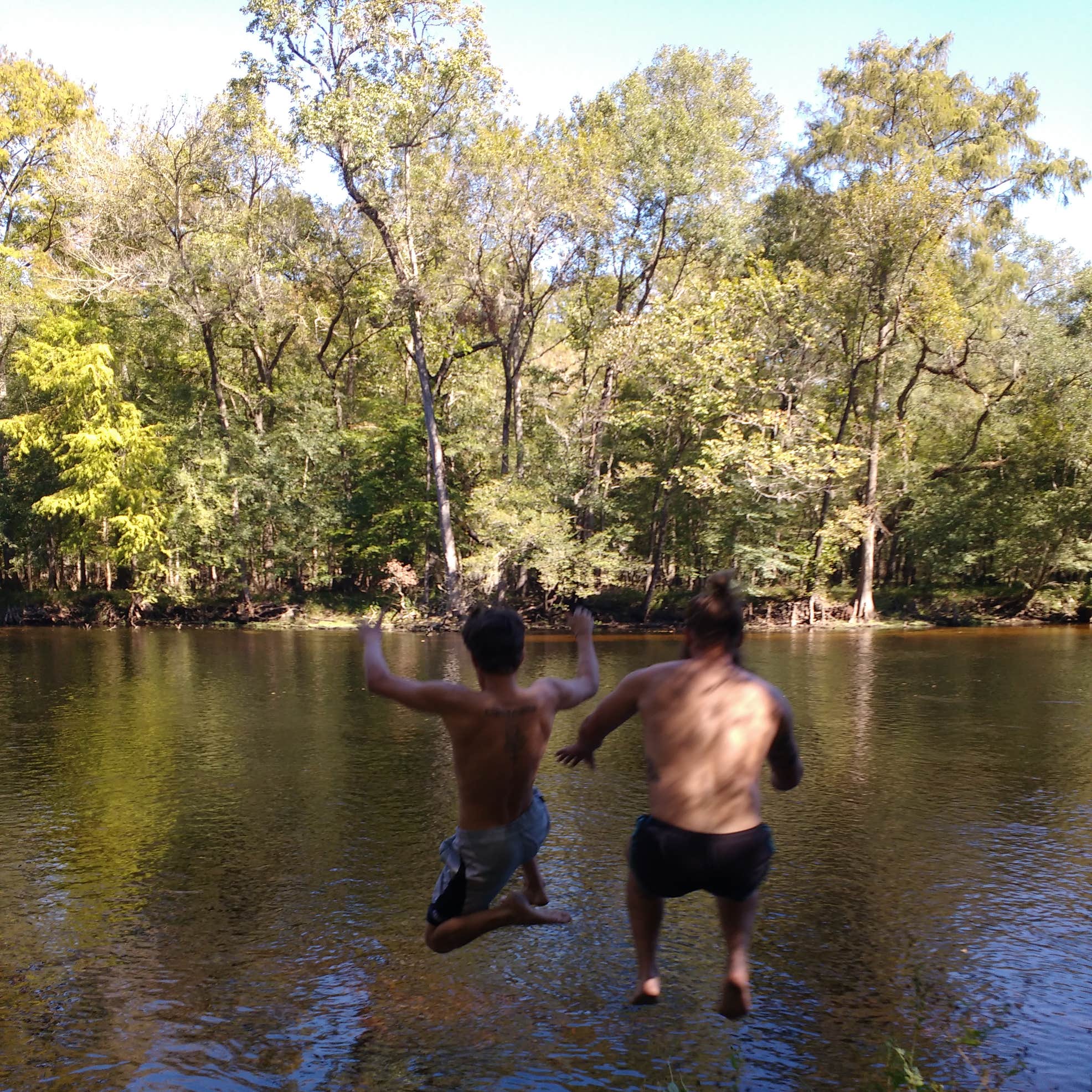 Ginnie Springs Outdoors Camping The Dyrt