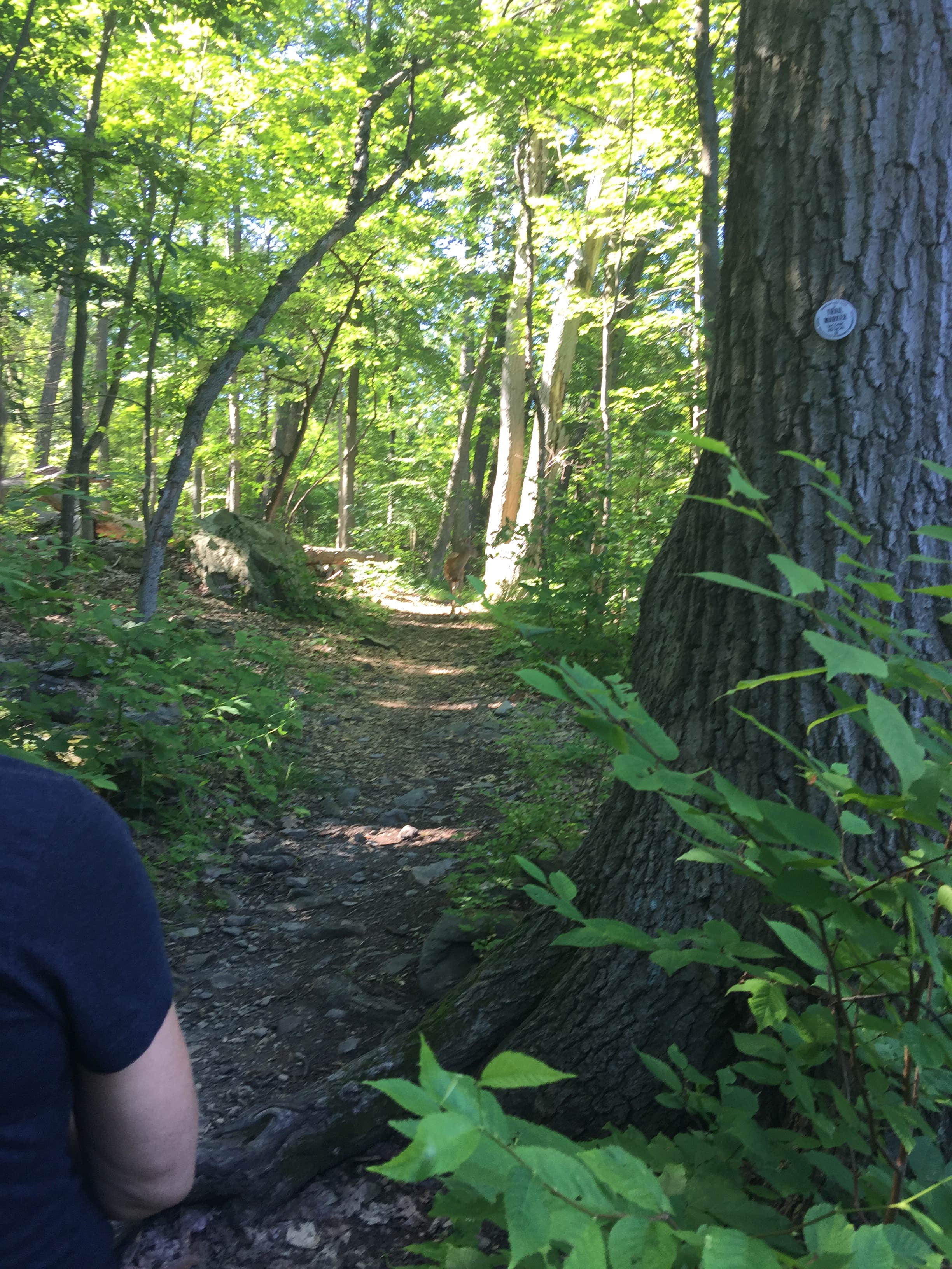 Camper-submitted photo at Mills Norrie State Park Campground near Cornwall-on-Hudson, NY