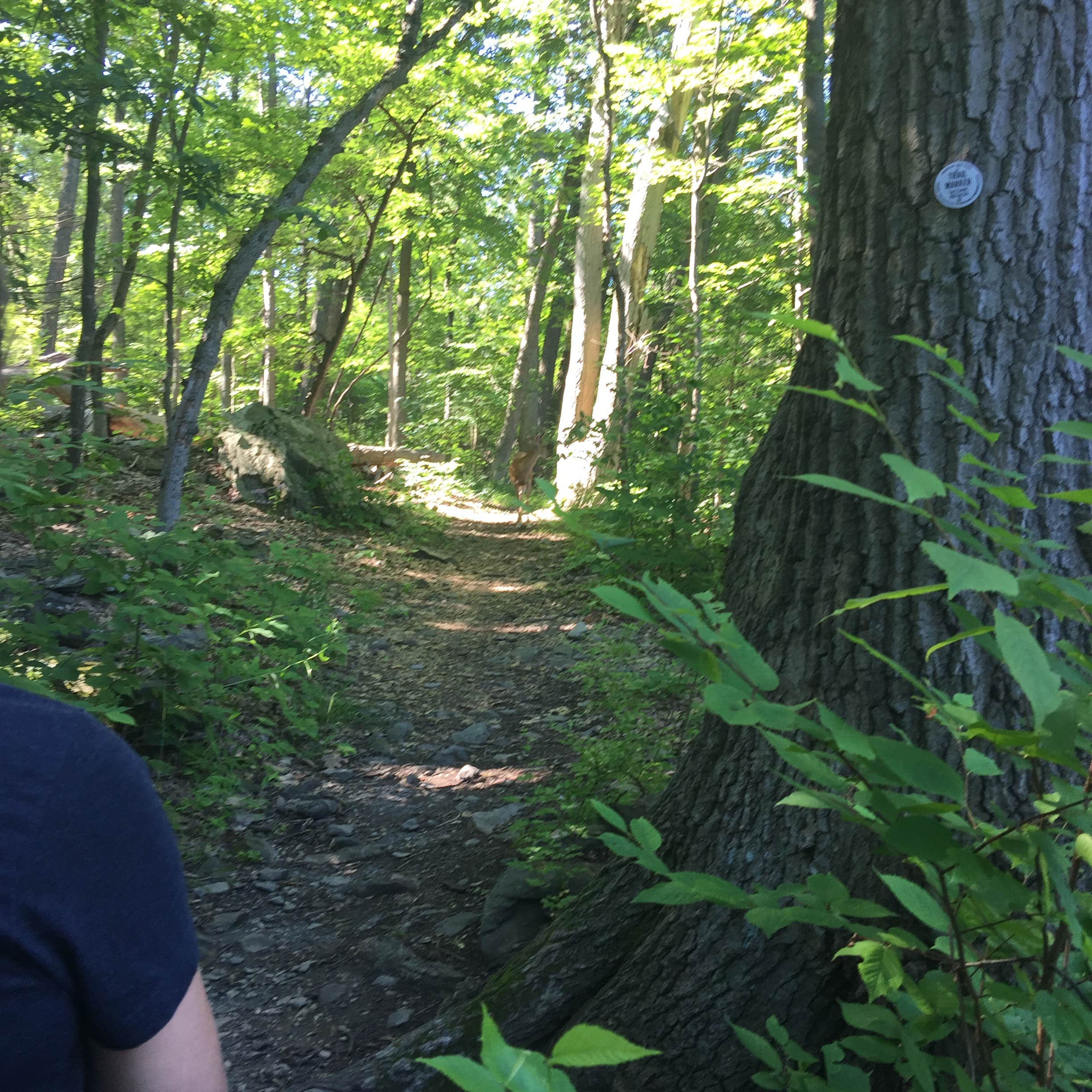 Escape to Paradise: Uncovering the Gems of Margaret Lewis Norrie State Park