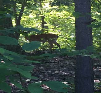 Camper-submitted photo from Thousand Trails Rondout Valley