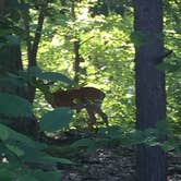 Review photo of Mills Norrie State Park Campground by Michael G., July 8, 2017
