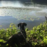 Review photo of Burr Oak State Park Campground by Shelly S., July 8, 2017