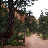 Review photo of North Campground — Bryce Canyon National Park by Dan G., June 24, 2016