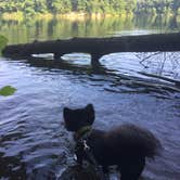 Review photo of Burr Oak State Park Campground by Shelly S., July 8, 2017