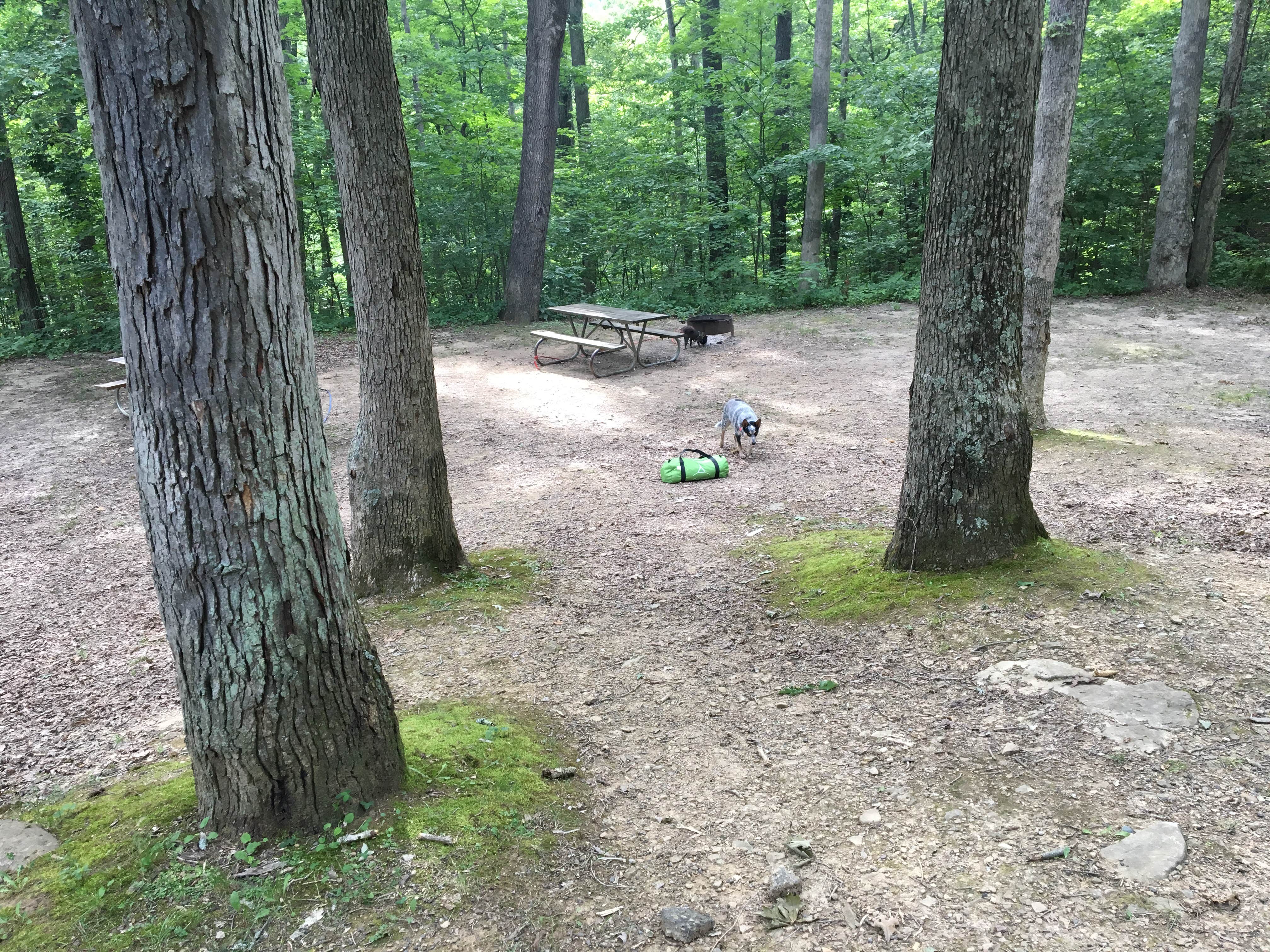Camper-submitted photo at Burr Oak State Park Campground near Clifton, OH