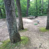 Review photo of Burr Oak State Park Campground by Shelly S., July 8, 2017