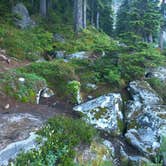 Review photo of Surprise Lakes Indian by Heather C., July 8, 2017