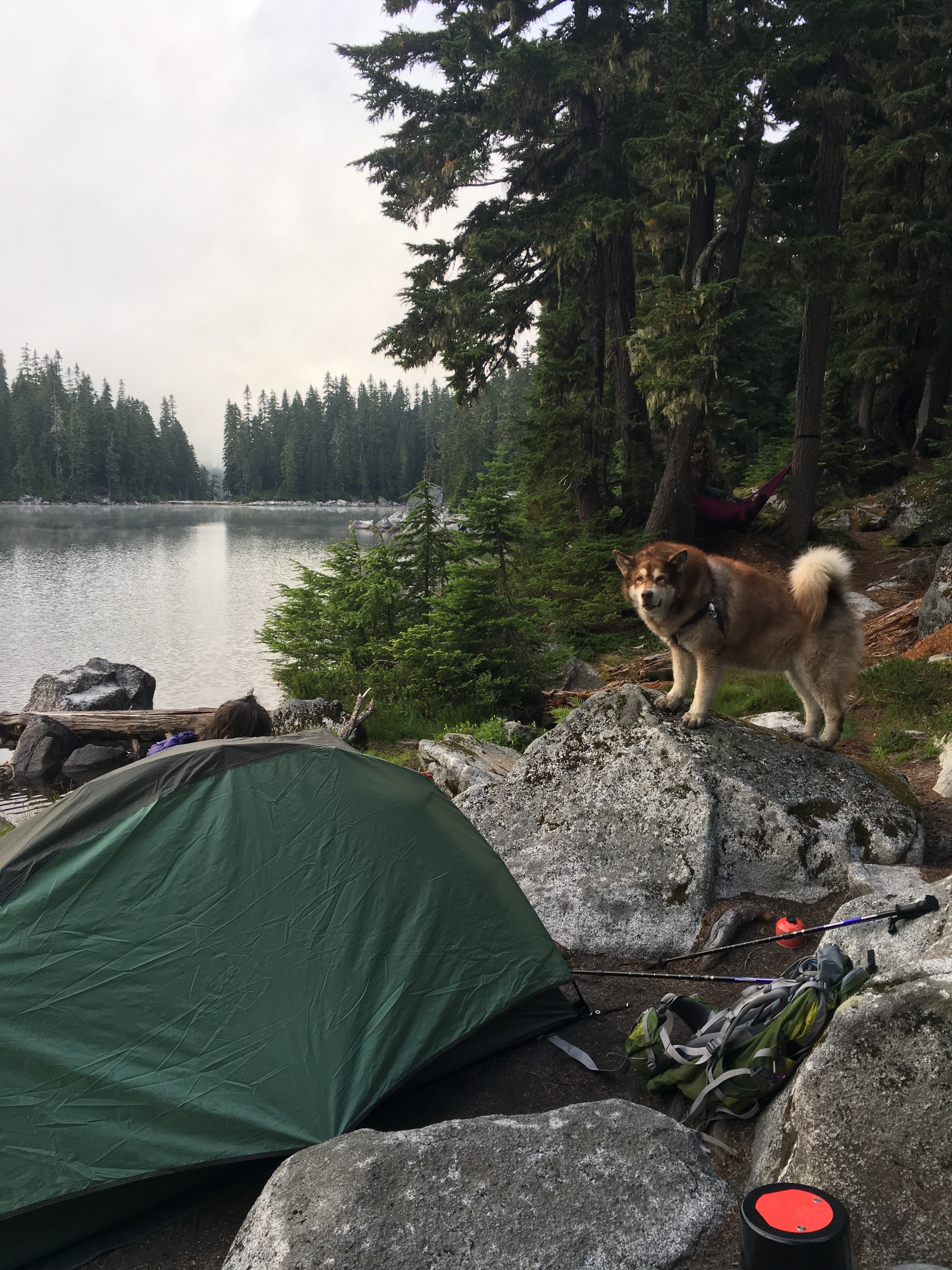 Camper submitted image from Surprise Lakes Indian - 3