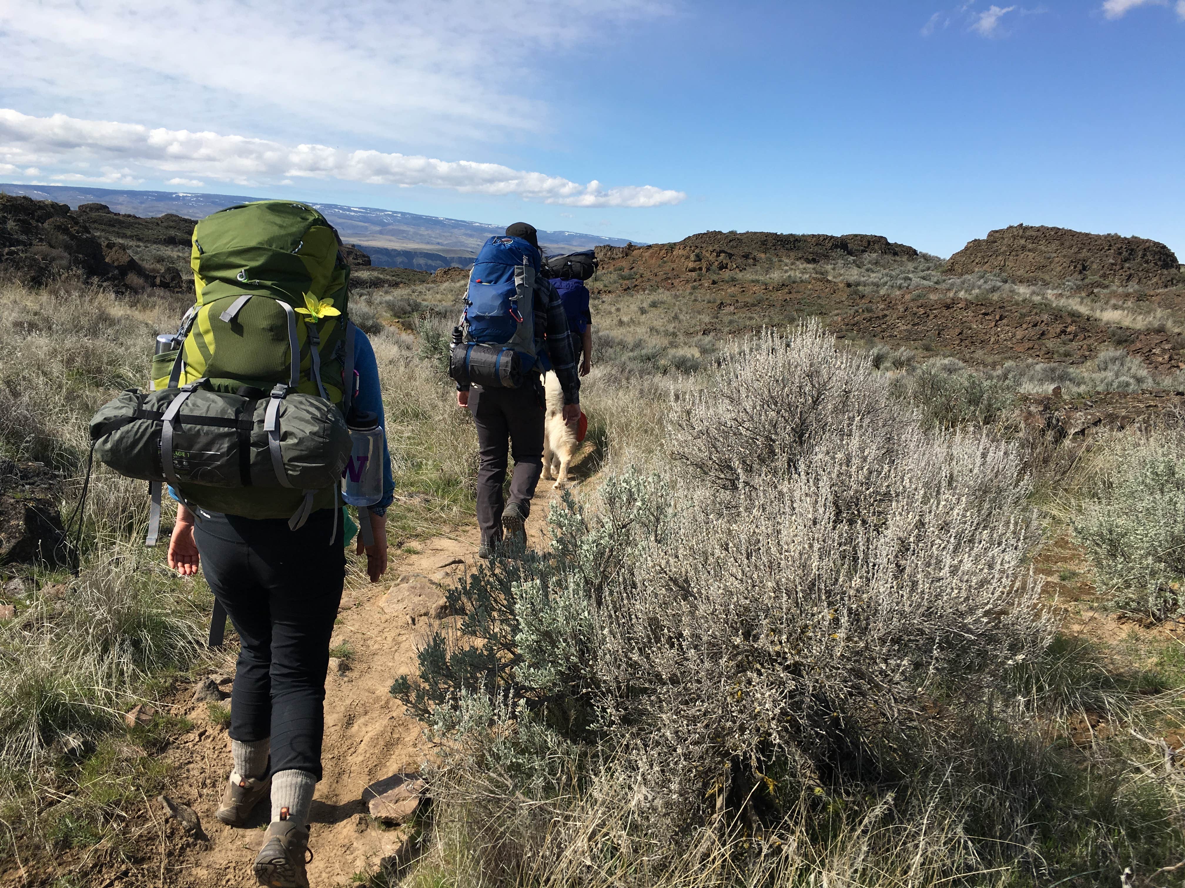 Camper submitted image from Ancient & Dusty Lake Trailhead - 4