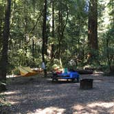 Review photo of Richardson Grove State Park Campground by Jessica B., July 8, 2017