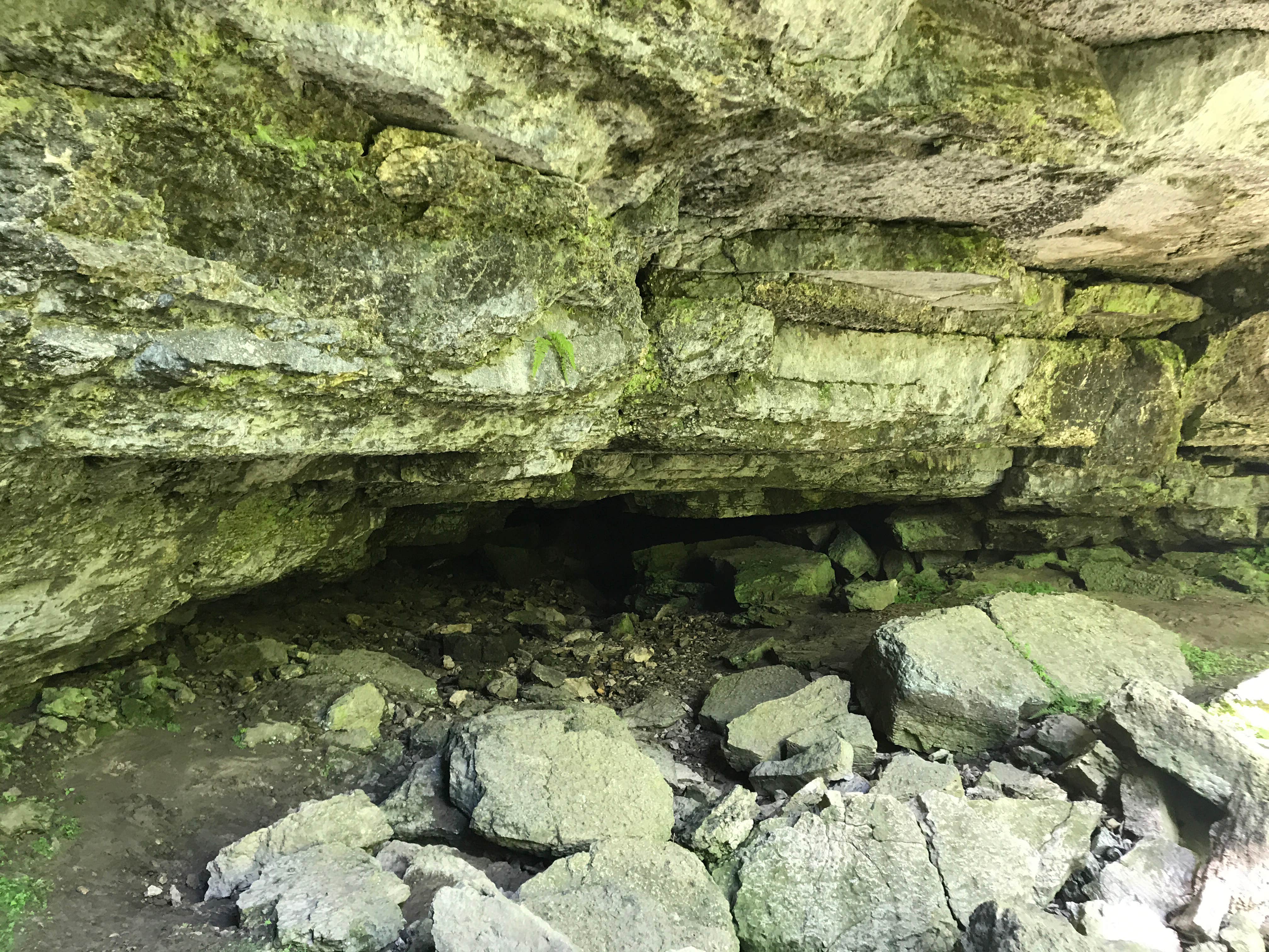 Camper submitted image from Duttons Cave Co Park - 2