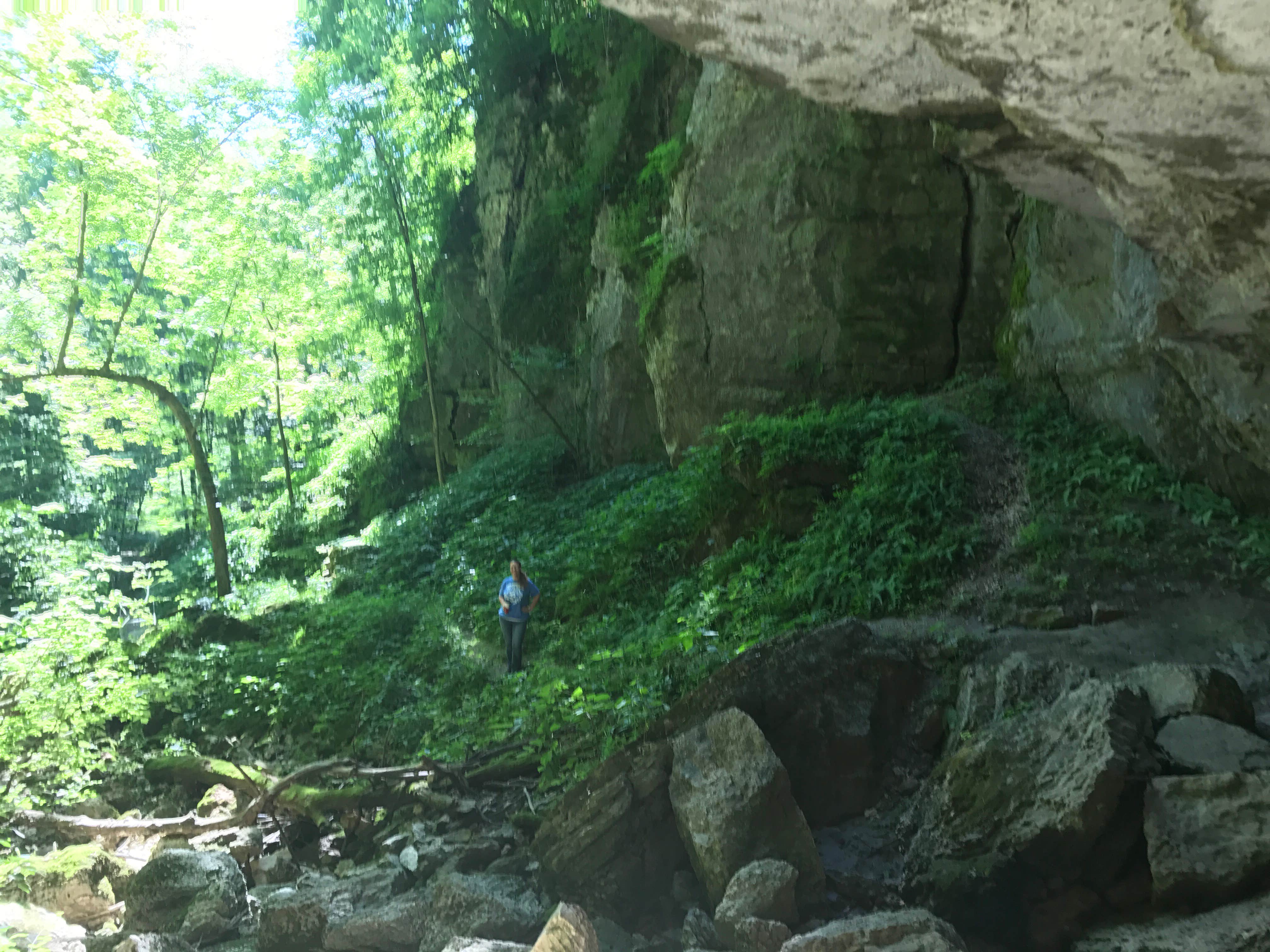 Camper submitted image from Duttons Cave Co Park - 1