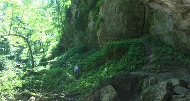 Duttons Cave Co Park