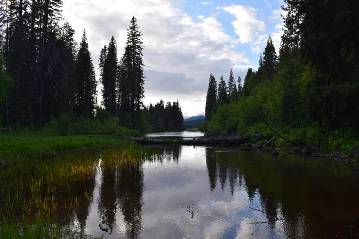 Nature