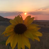 Review photo of Antelope Island State Park Campground by Aislinn F., July 8, 2017