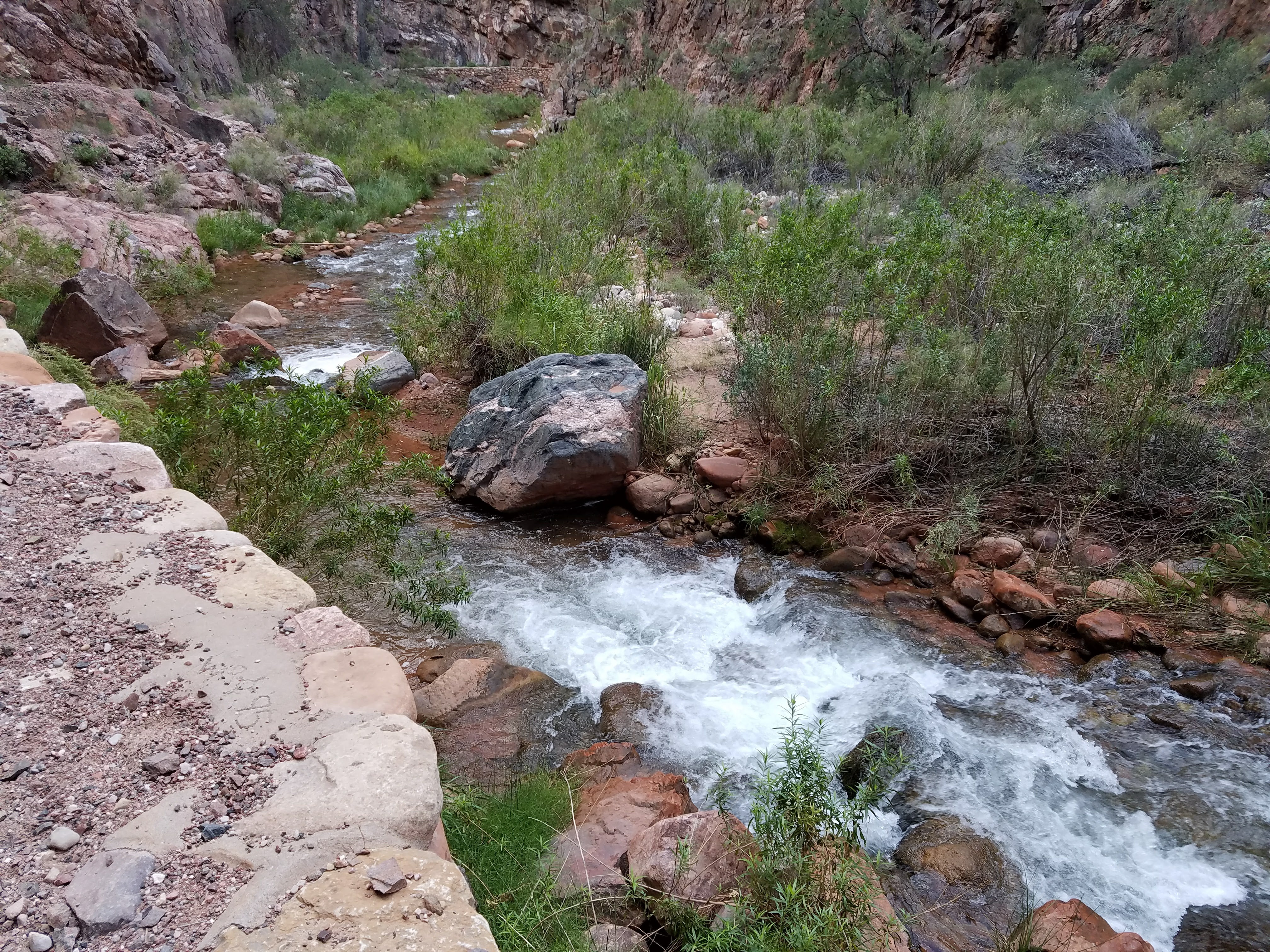 Camper submitted image from Cottonwood Campground — Grand Canyon National Park - 1