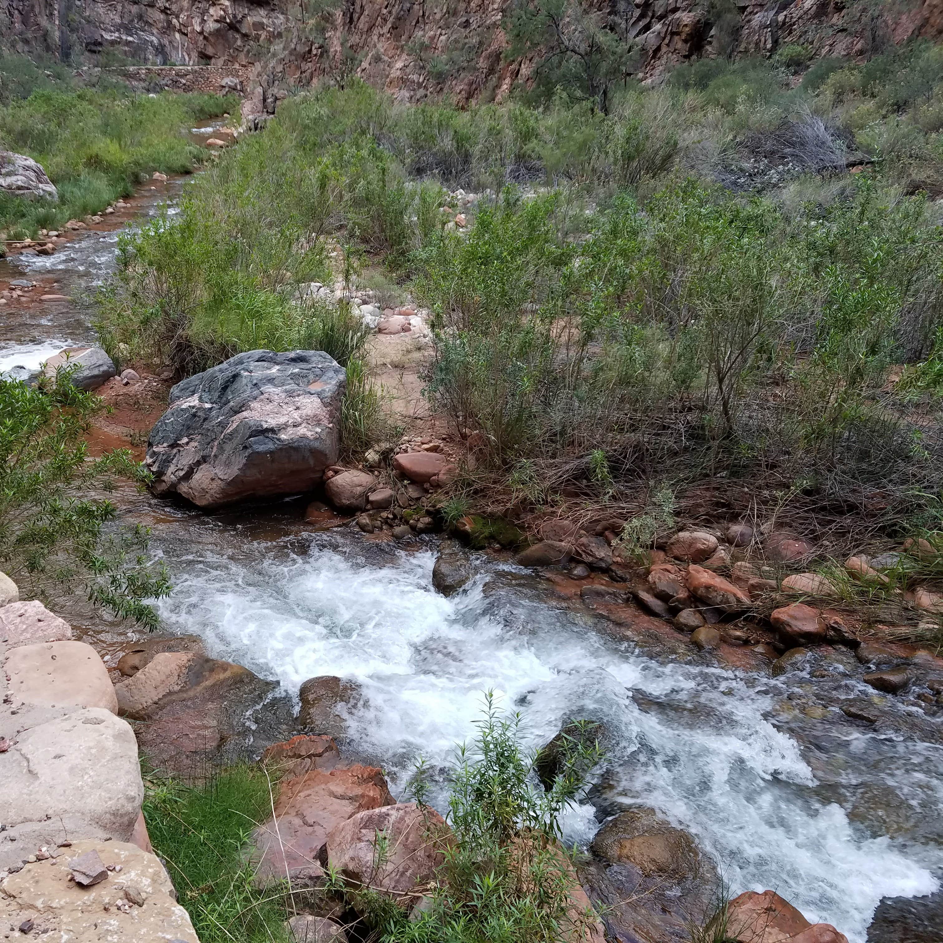 Cottonwood Campground — Grand Canyon National Park