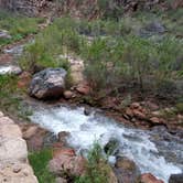 Review photo of Cottonwood Campground — Grand Canyon National Park by Christy C., July 8, 2017