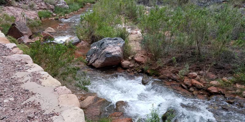 Camper submitted image from Cottonwood Campground — Grand Canyon National Park