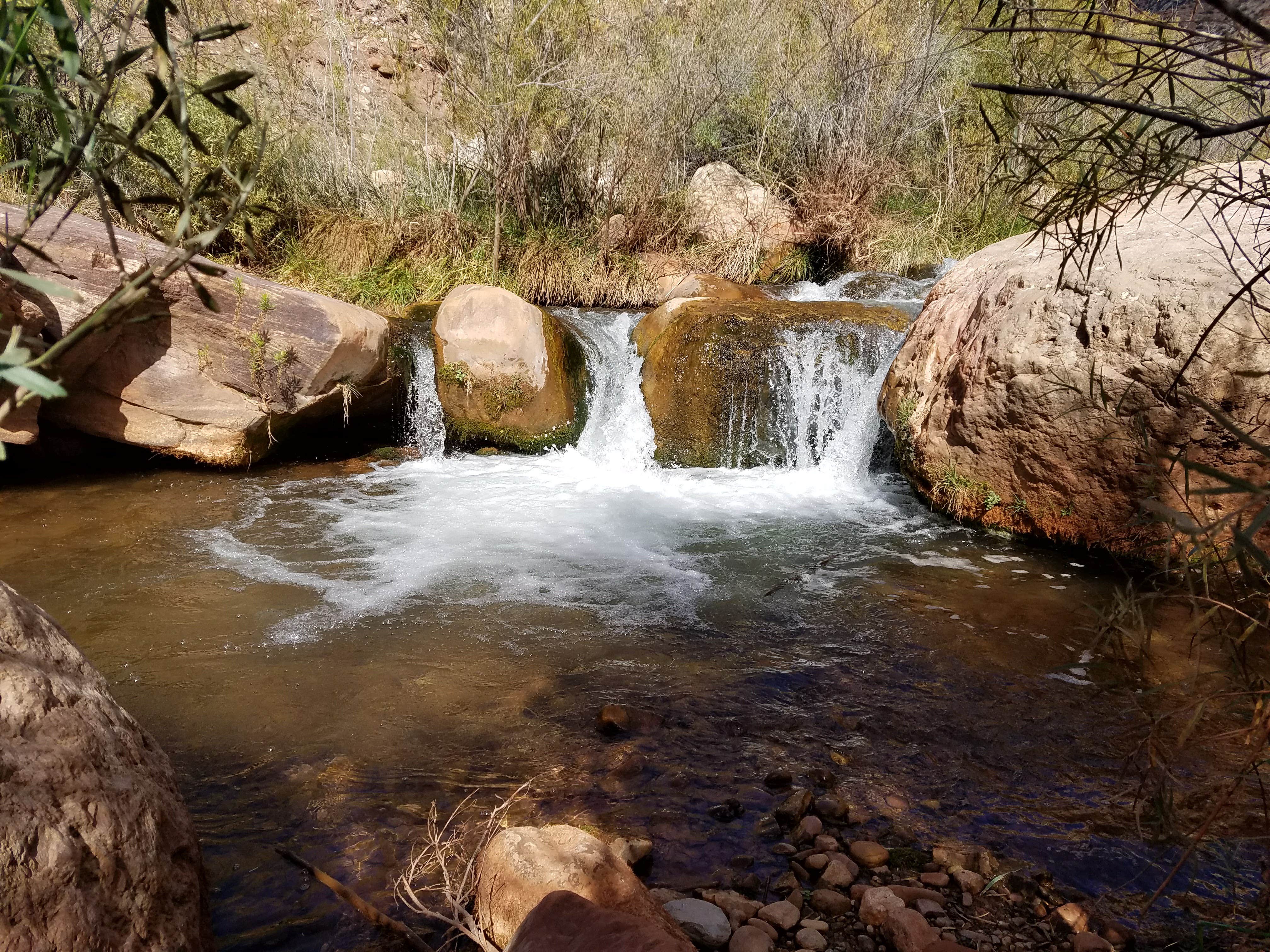 Camper submitted image from Cottonwood Campground — Grand Canyon National Park - 4