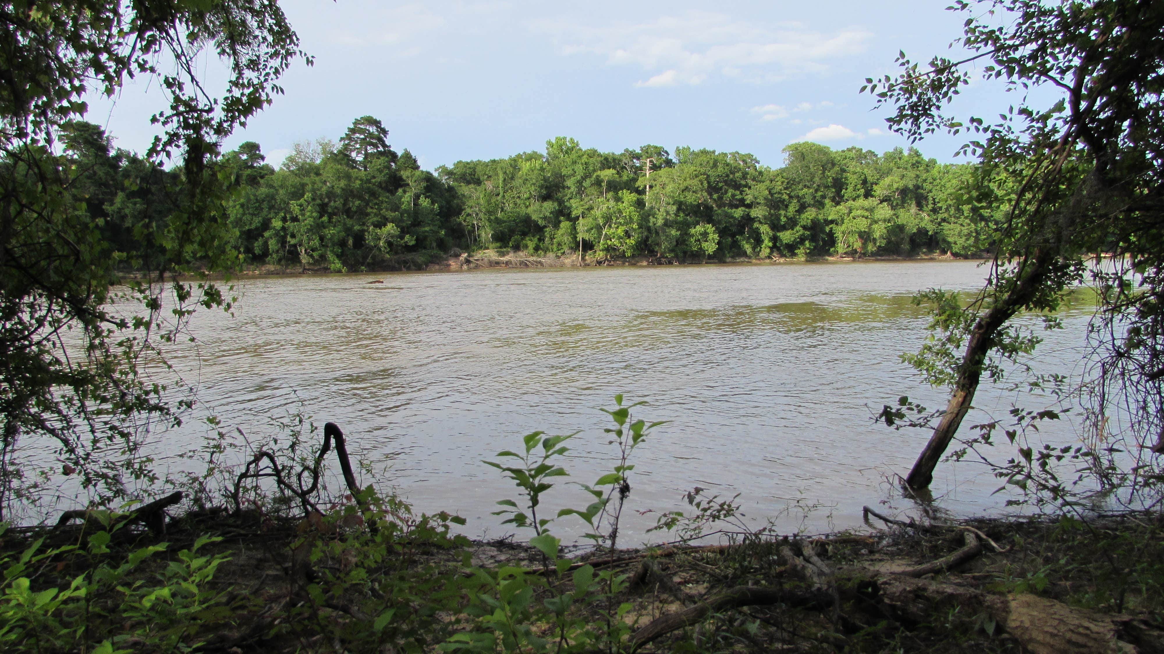 Camper submitted image from Towns Bluff Park - 3