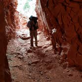Review photo of Cottonwood Campground — Grand Canyon National Park by Christy C., July 8, 2017
