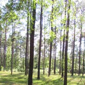 Review photo of Towns Bluff Park by Mike B., June 24, 2016