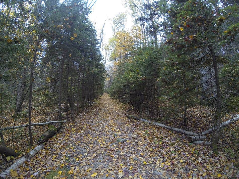 Camping near Twin Mountain Campground: Zealand Campground, Twin Mountain, New Hampshire