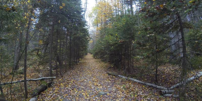 Camper submitted image from Zealand Campground