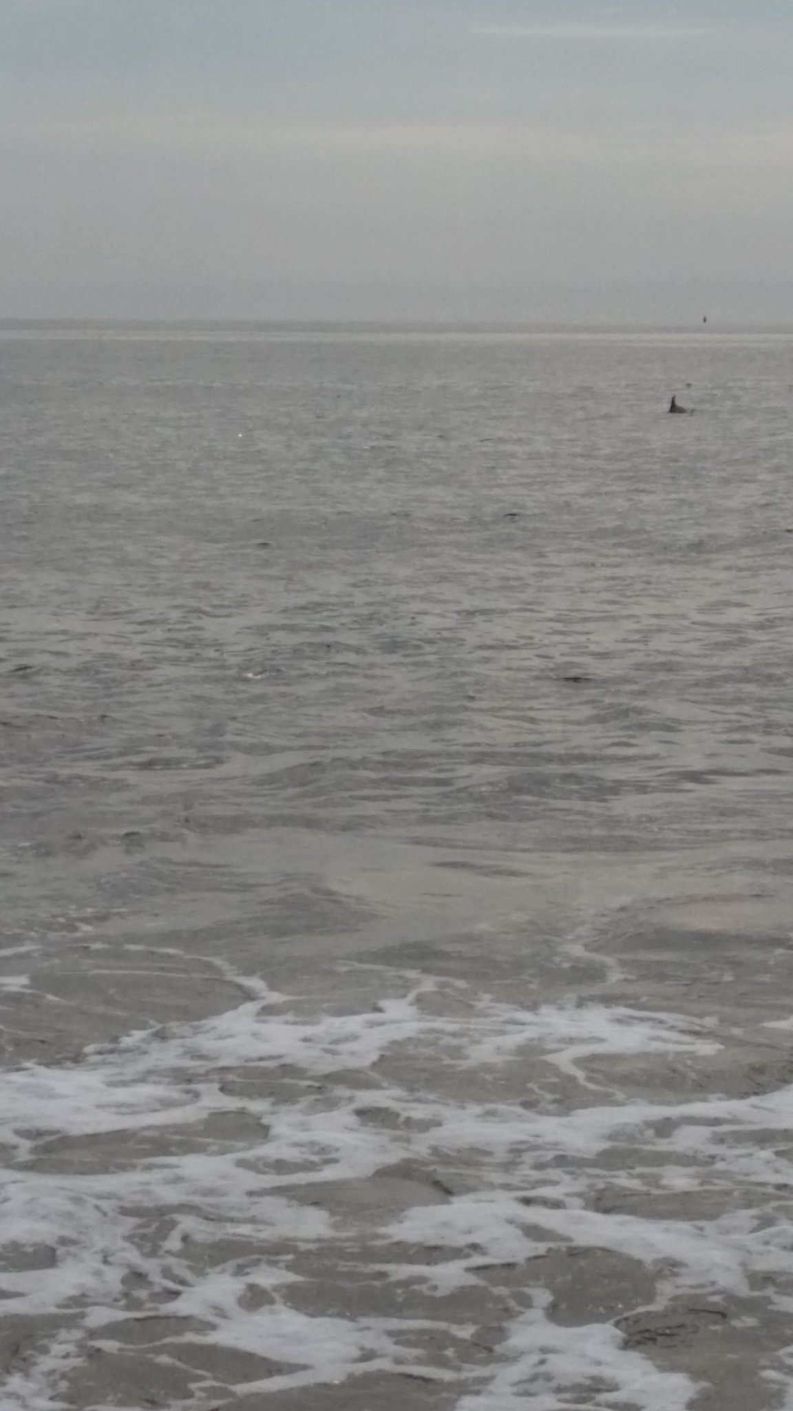Camper submitted image from Oregon Inlet Campground — Cape Hatteras National Seashore - 4
