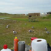 Review photo of Oregon Inlet Campground — Cape Hatteras National Seashore by Paula W., July 8, 2017
